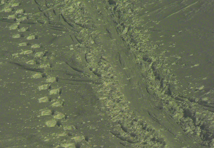 skialpaktual-ziarska-dolina