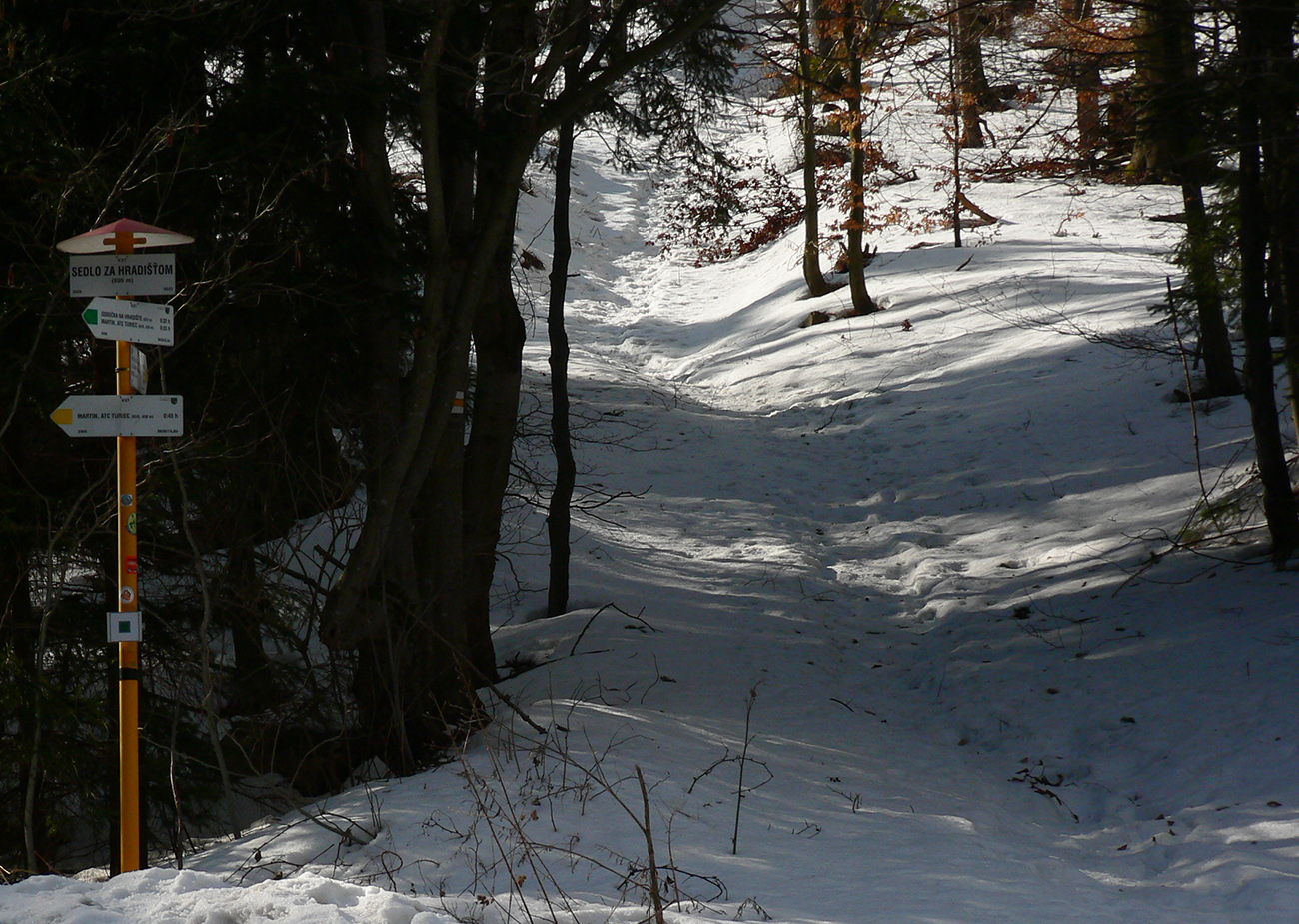 Zo_sedla_pod_Hradišťom_na_pásoch_nešiel_už_dlhšie_nik,_treba_hneď_ísť_viac_doprava,_mimo_značky.