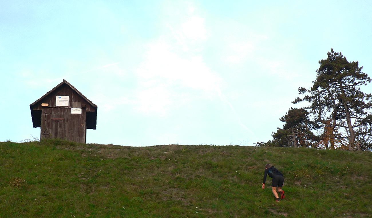 Keď_netrafíš_správny_chodník,_ale_aj_ten_nesprávny_ťa_dovedie_(takmer)_kam_potrebuješ.