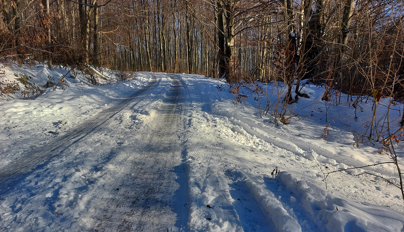 Križovanie_žltej_s_cestou_na_Zajacovú_–_asi_by_som_šiel_po_ceste._