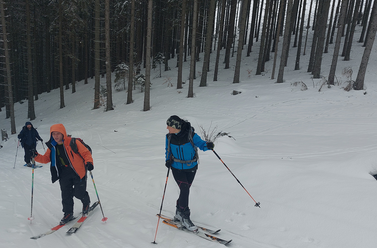 Nad Prievalcom von z lesa, na čistý sneh. Nad_Prievalcom_von_z_lesa,_na_čistý_sneh.