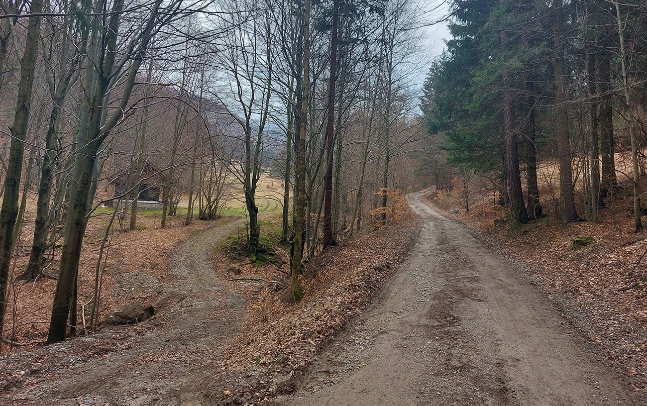 Na spodnom okraji lúk asfalt končí, do Zliechova necelé dva kiláky. Na_spodnom_okraji_lúk_asfalt_končí,_do_Zliechova_necelé_dva_kiláky.