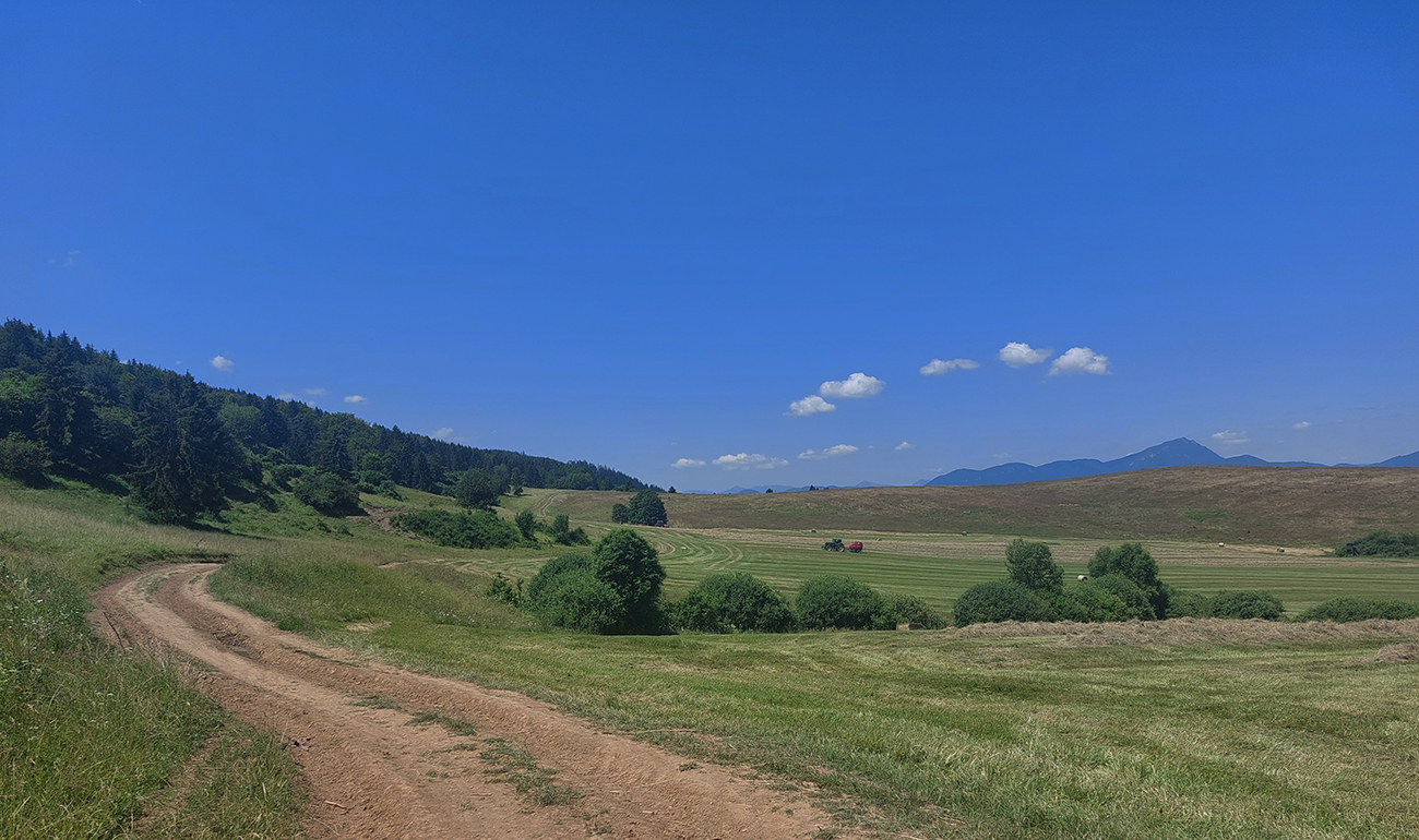 ...potom_príjemne,_vlnkovito,_horným_okrajom_lúk.