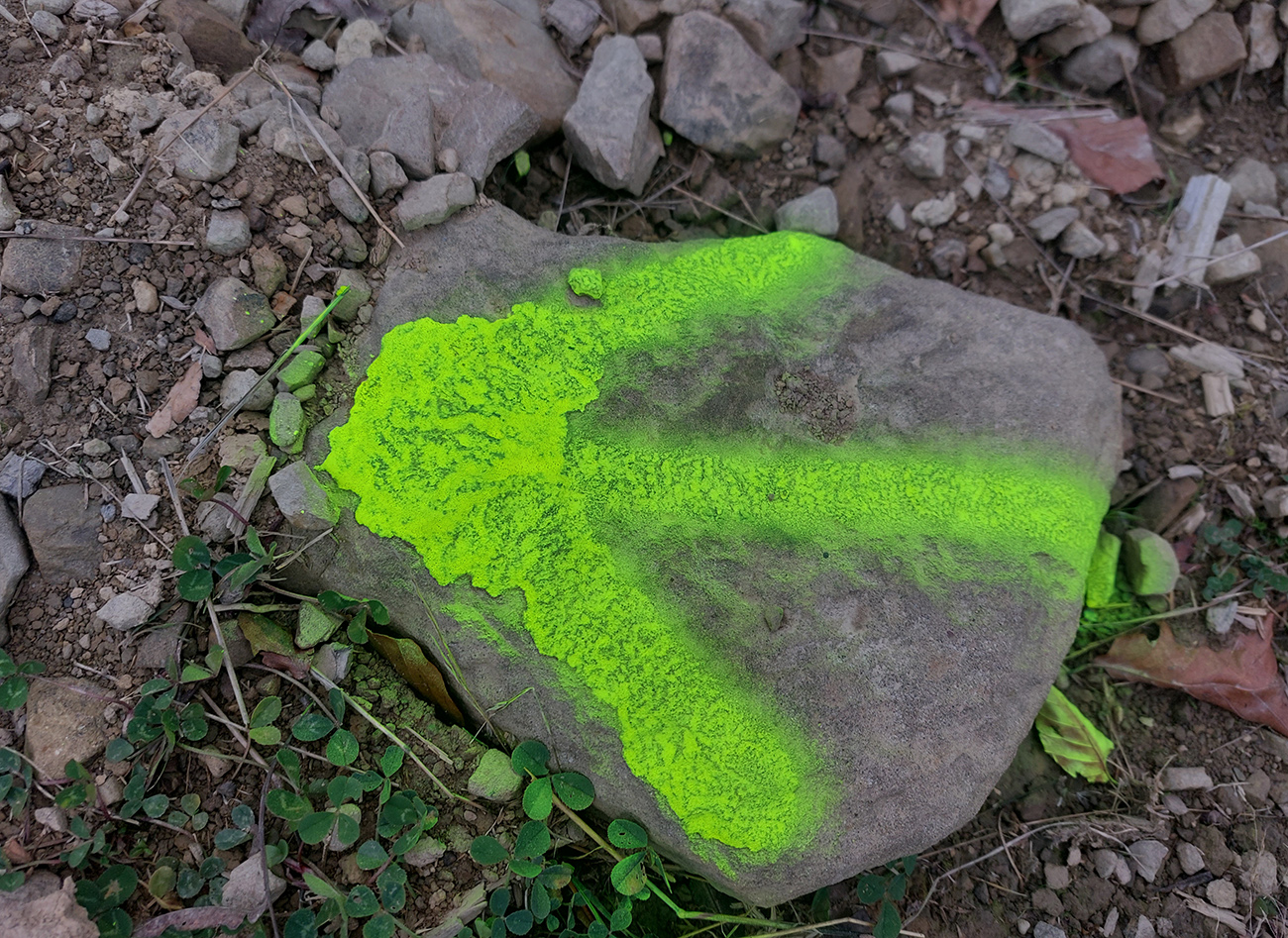 javornicka-stovka-2023-bola-zelena