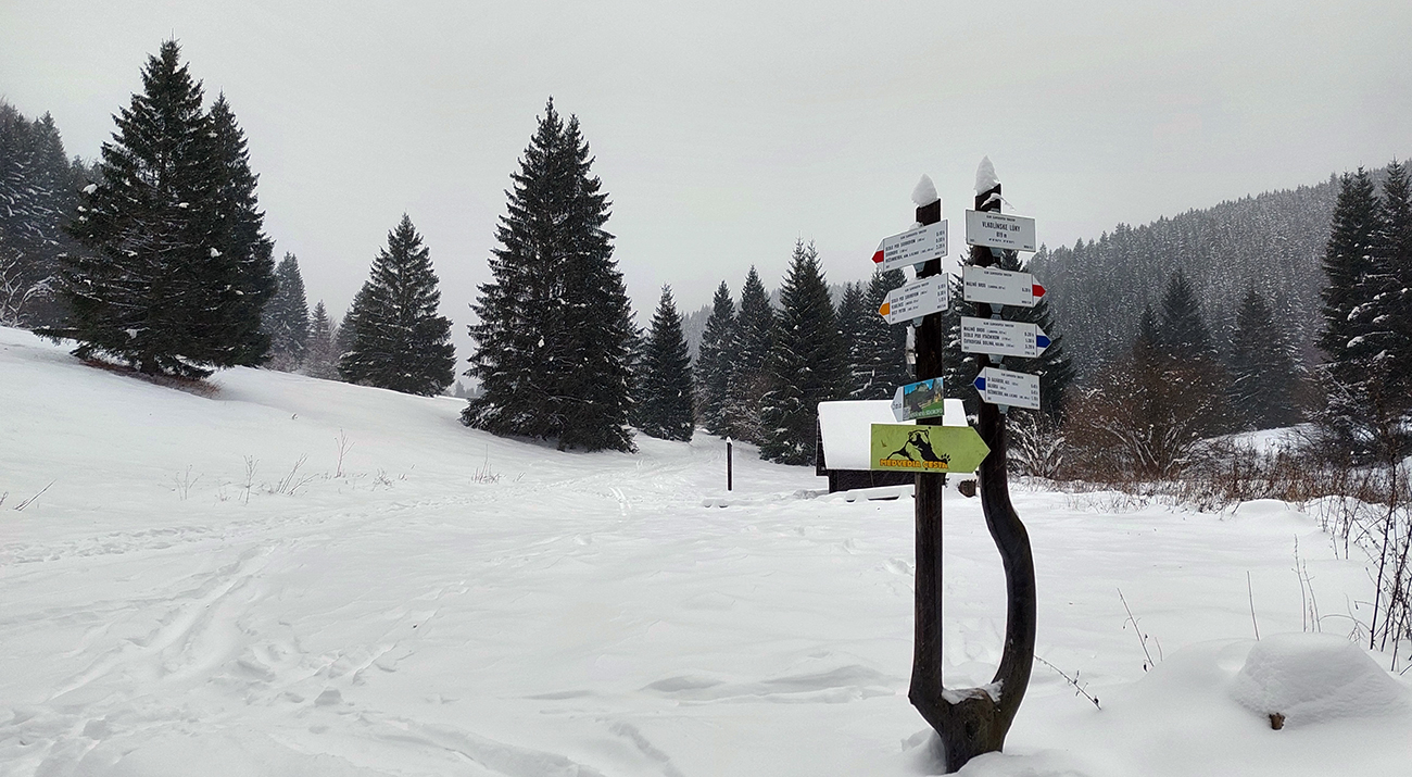 Na Vlkolínskych lúkach: jediné farby (okrem sivej) na tých tabuľkách :-) Na_Vlkolínskych_lúkach:_jediné_farby_(okrem_sivej)_na_tých_tabuľkách_:-)