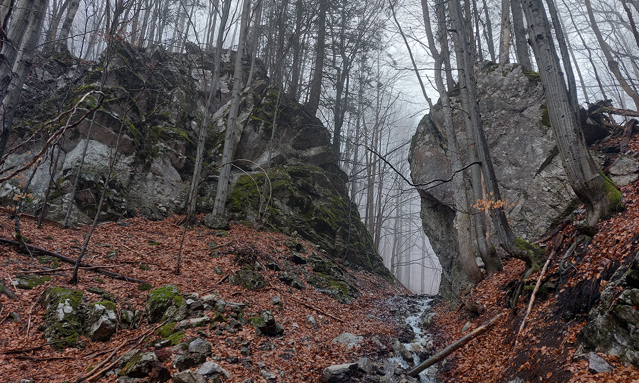 bralnate-juzne-ubocia-velkej-fatry