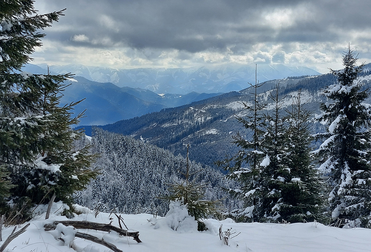 Vpravo v diaľke sivé, nezasnežené rúbane Nízkych Tatier. Vpravo_v_diaľke_sivé,_nezasnežené_rúbane_Nízkych_Tatier.
