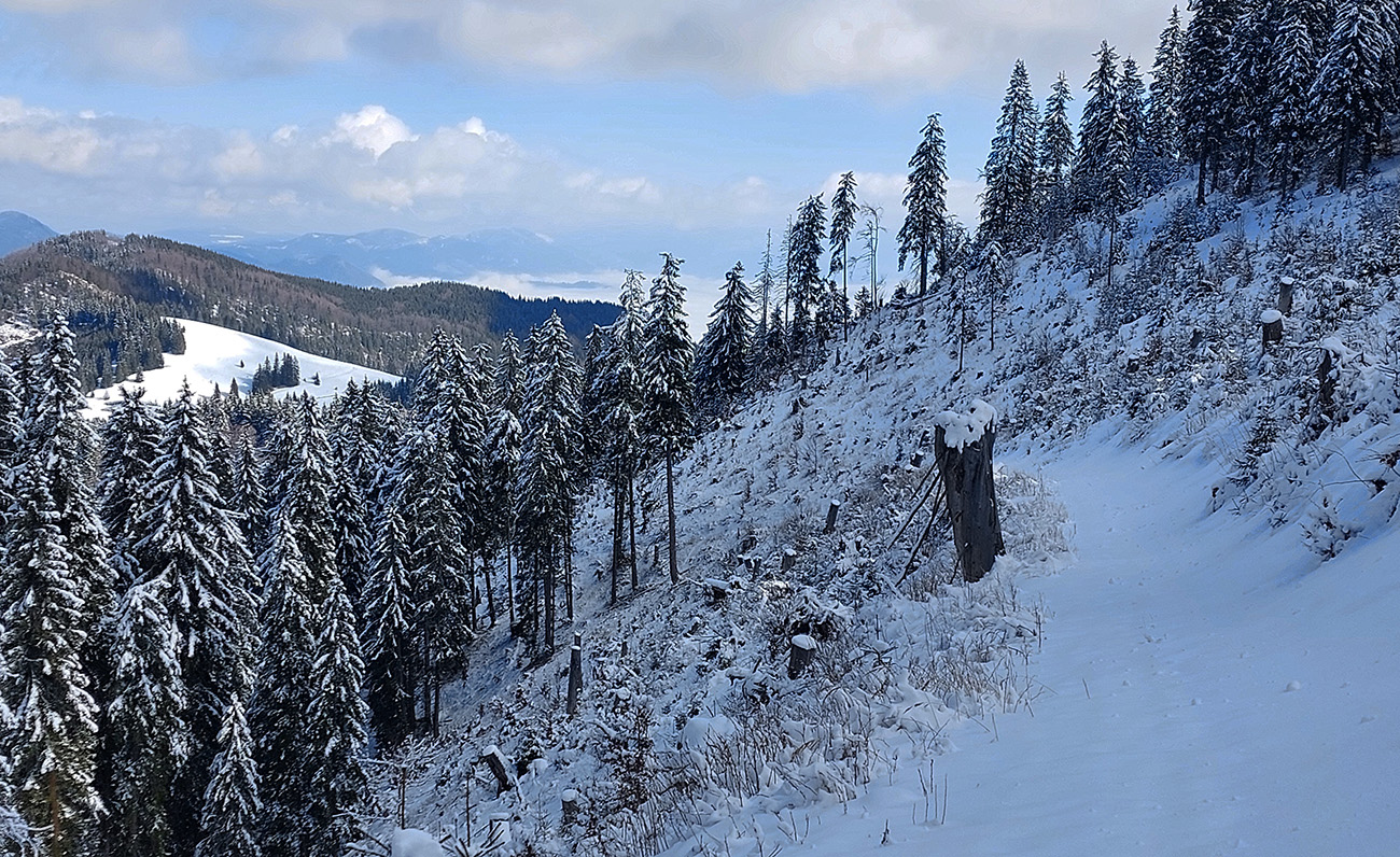 ...a kúsok dole cez rúbaň dosť snehu na odjazd. ...a_kúsok_dole_cez_rúbaň_dosť_snehu_na_odjazd.