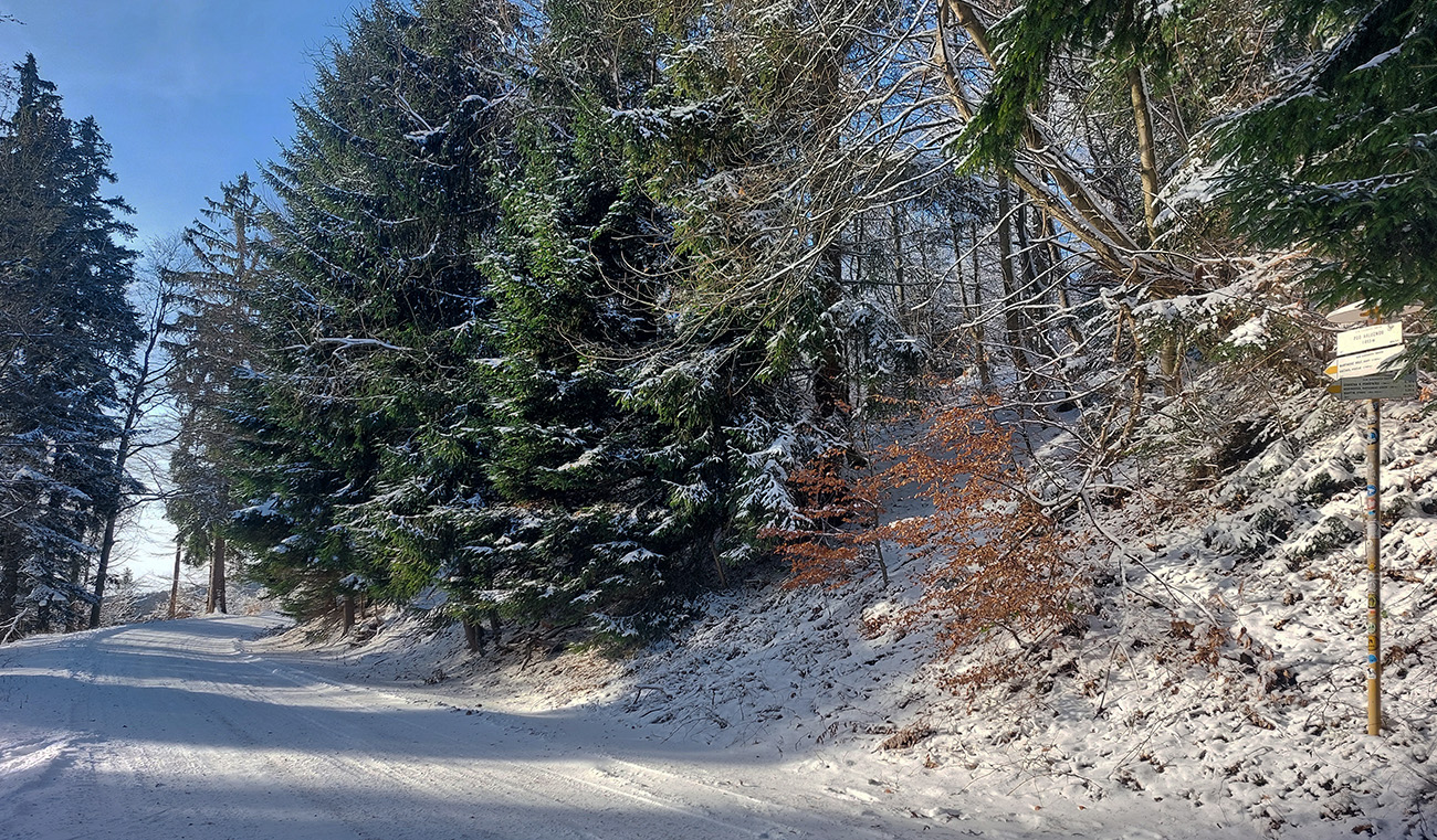 Pod_Kalužnou_rovno,_tvrdo,_súvislo_bielo_na_asfaltke.