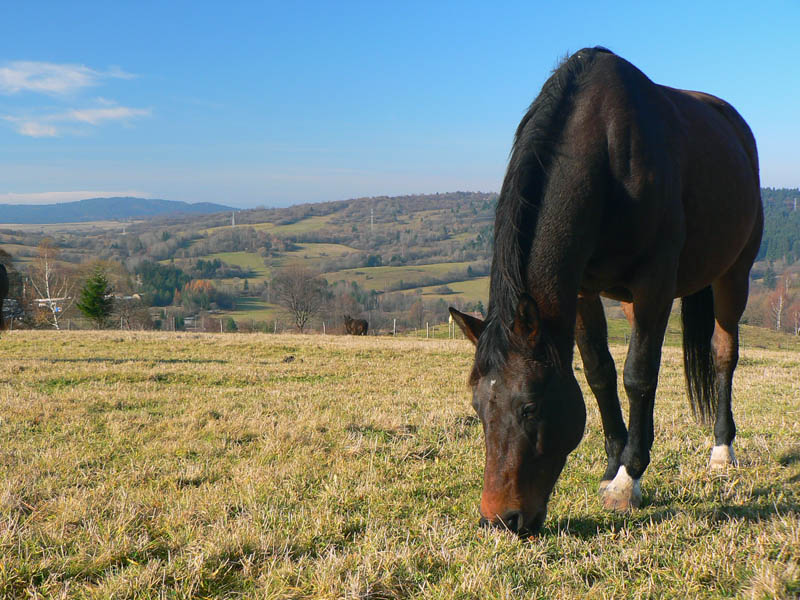 stred-europy-a-blizky-vesmir