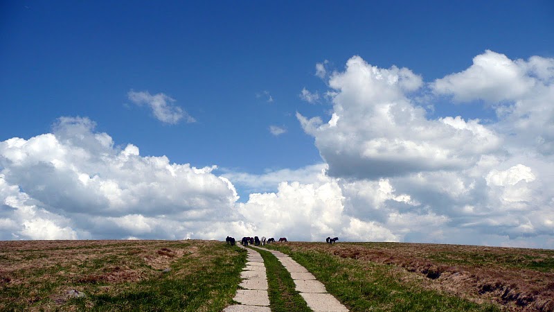 ukrajina-polonina-runa-1479m