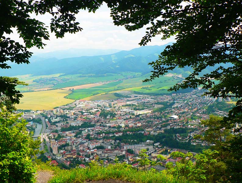 kecky-radicina-cebrat